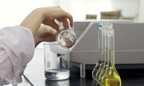 the test process