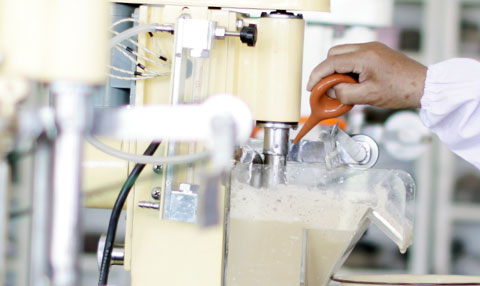 the test process