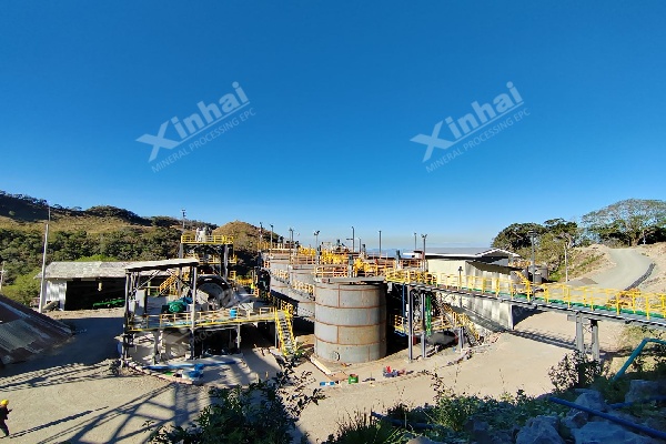 Latin-America-gold-cil-plant