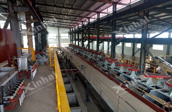 iron-ore-flotation-cells iron-ore-flotation-cells
