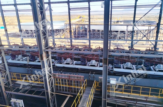 nickel-sulfide-ore-flotation-case.jpg