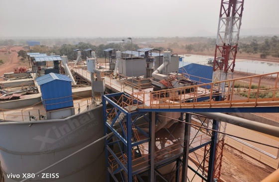 Guinea-3000tpd-Gold-CIP-Plant-2.jpg