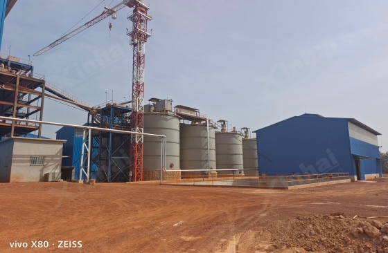 Guinea-3000tpd-Gold-CIP-Plant-3.jpg