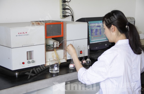 Mineral-processing-test-detection