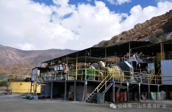 Sulfide-Copper-flotation.jpg