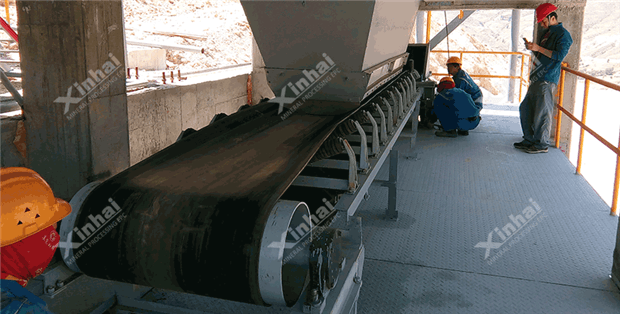 procase-Belt-Feeder.png